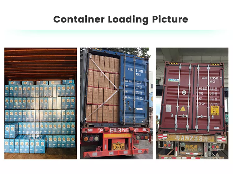 Container Loading Picture